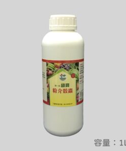 粉介殼蟲